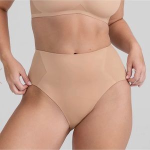 Honeylove Crossover Brief